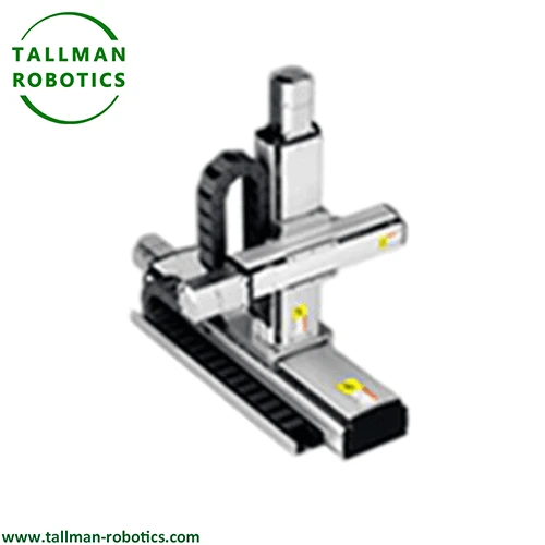 Gantry Linear Module