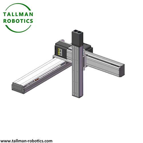 Multi Axis Cartesian Robot